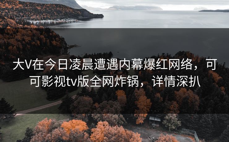 大V在今日凌晨遭遇内幕爆红网络，可可影视tv版全网炸锅，详情深扒