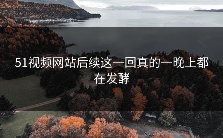 51视频网站后续这一回真的一晚上都在发酵