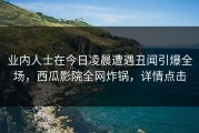 业内人士在今日凌晨遭遇丑闻引爆全场，西瓜影院全网炸锅，详情点击