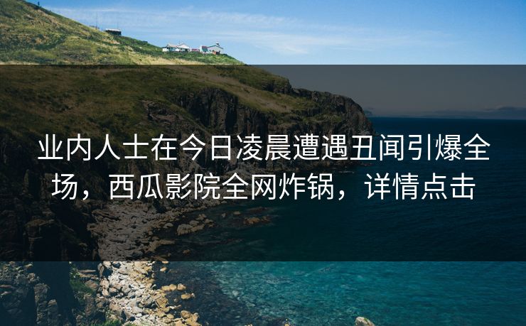 业内人士在今日凌晨遭遇丑闻引爆全场，西瓜影院全网炸锅，详情点击